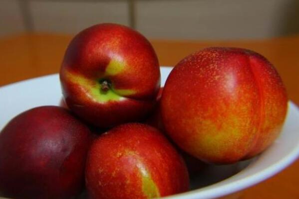 落叶小乔木油桃的热量有多高?一般几月份成熟