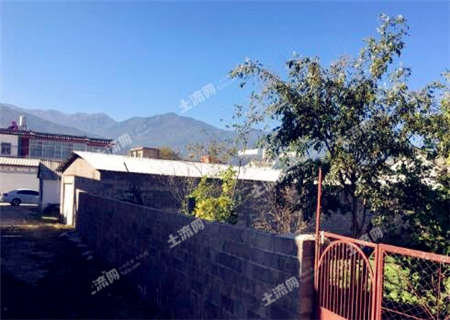 《关于对失信被执行人实施限制不动产交易惩戒