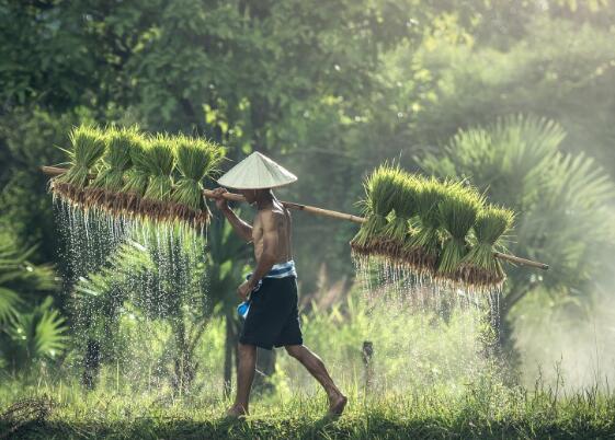 2018年环保督查最新消息:第二轮中央环保督察