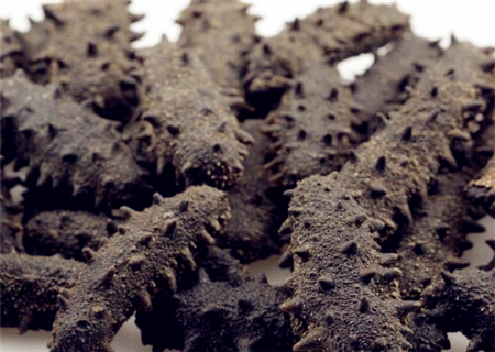 海参什么季节吃最好?一周吃几个最佳?