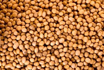 2018中央玉米大豆补贴什么时候下发?每吨补贴