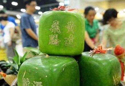 方形西瓜是怎么形成的?价格多少钱一斤?有什