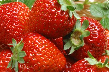 "红色珍珠"草莓适合什么土壤?