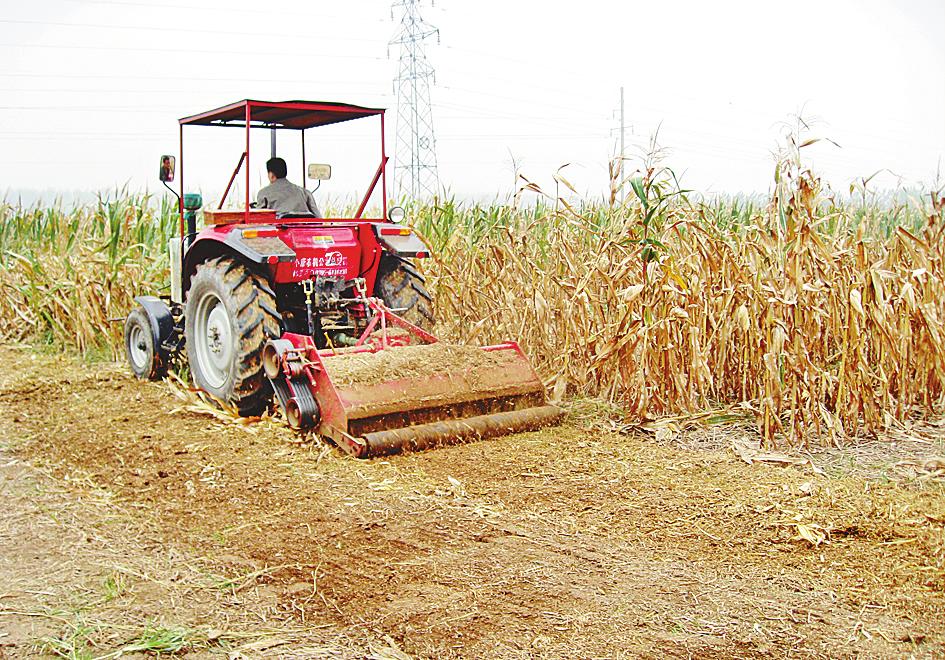 玉米和小麦秸秆还田的好处