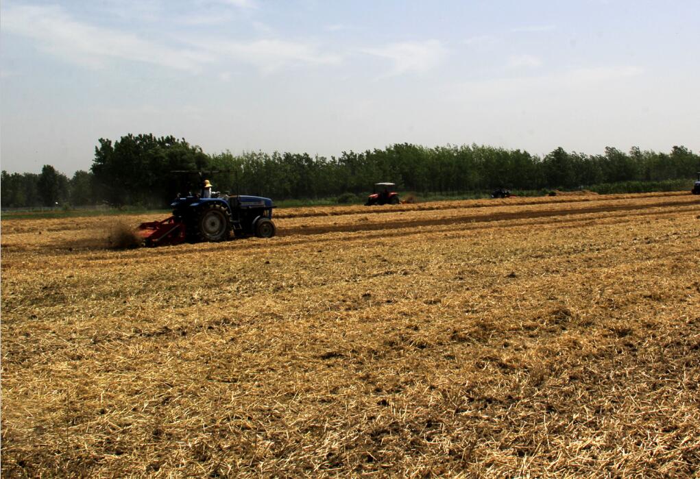 小麦秸秆粉碎灭茬还田作业