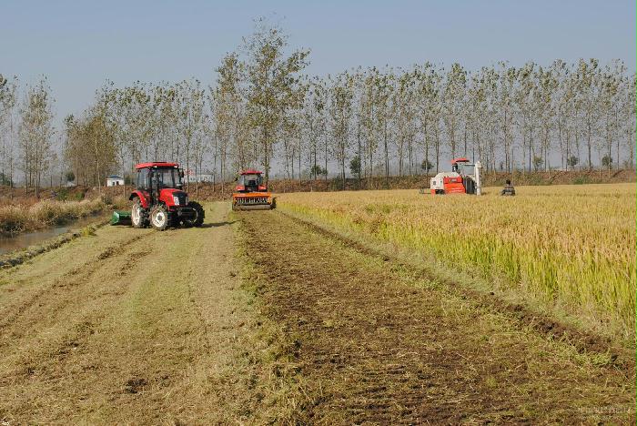 稻麦轮作稻茬秸秆还田技术 -土流网手机版