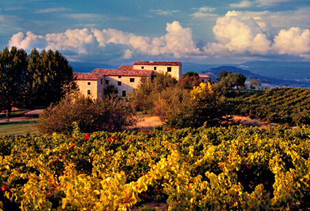 法国葡萄酒庄园