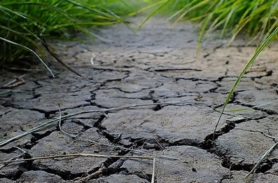 我国土壤有机物污染的现状