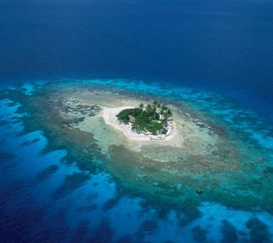 構成了珊瑚礁海岸地貌,主要分為岸礁,堡礁和環礁3種基本類型