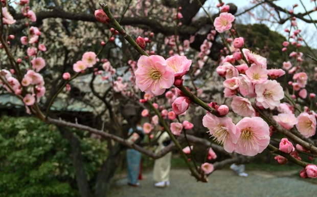 人,лʲô