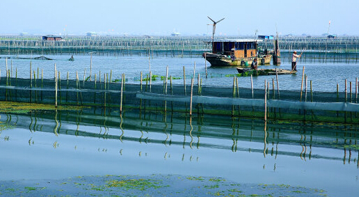 "塘浦圩田系统"让太湖沼泽地变身"米粮仓"
