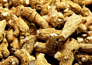 西洋参市场价格是多少?2017年市场行情怎么样?