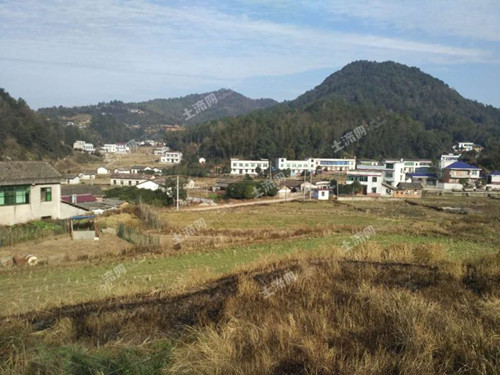 浏阳市优质土地信息_浏阳市土地流转服务中心