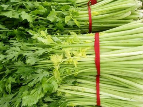 西芹如何种植?怎么吃?有哪些功效及作用?