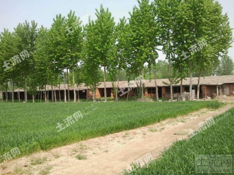北京顺义区北小营北75亩苗圃转让