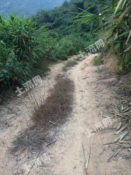 土地介绍 位于广东省肇庆市封开县渔涝镇,封开小桂林风景区附近,交通