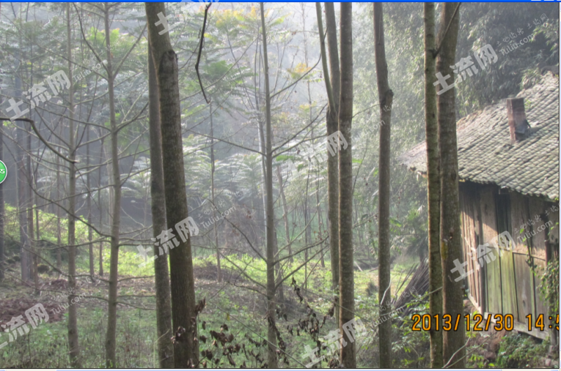 水管已安裝到戶;電已接通;水泥路直達家門口;地塊內栽有少量青木樹