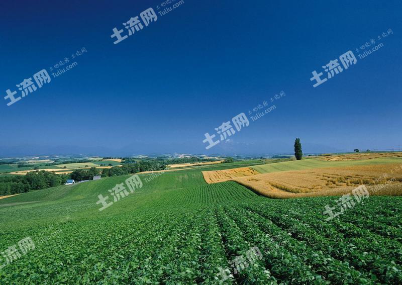 洛阳市西工区红山乡500亩土地出租