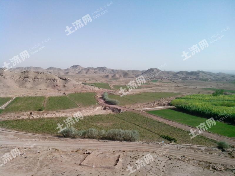 家庭型農場,土地面積600畝,配有三萬方水庫一個,大型多功能農機棚兩個