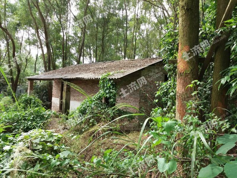 廣州花都區150畝園地 農莊 農場出租