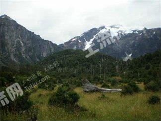 智利 大面积土地 出售 Chile real estate land 65