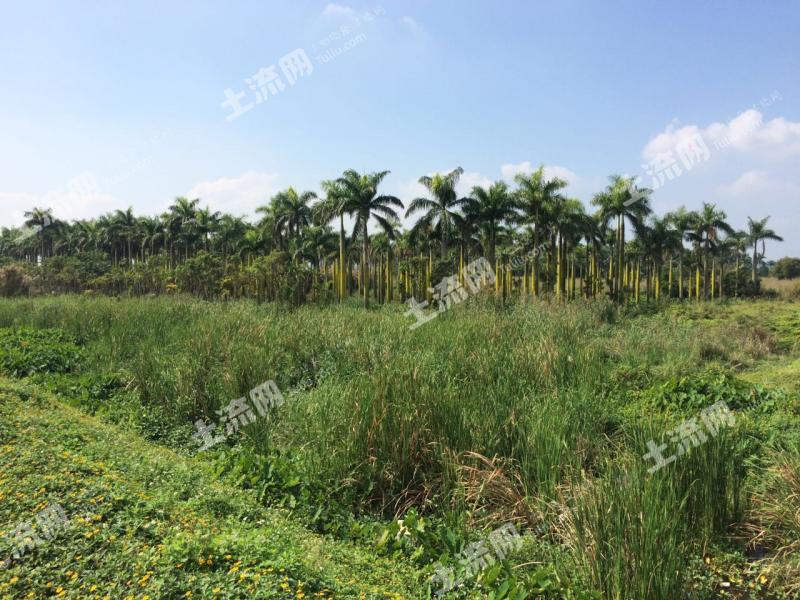 广东中山 600亩 城镇住宅 转让