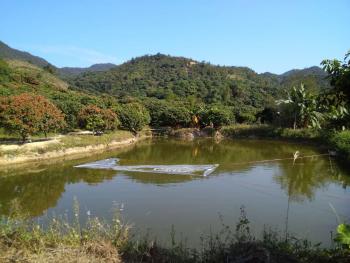 5畝果園魚塘房屋轉讓