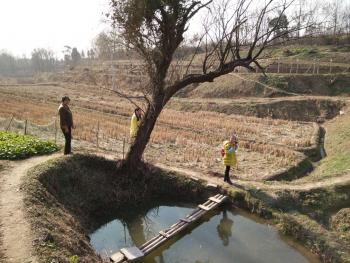 荆门经济总量2020年_湖北荆门经济怎么样